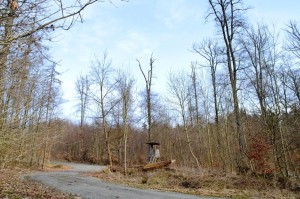 16-4-2017 Endnutzungsbestände öffentl Wald wahrschl Niedersachsen